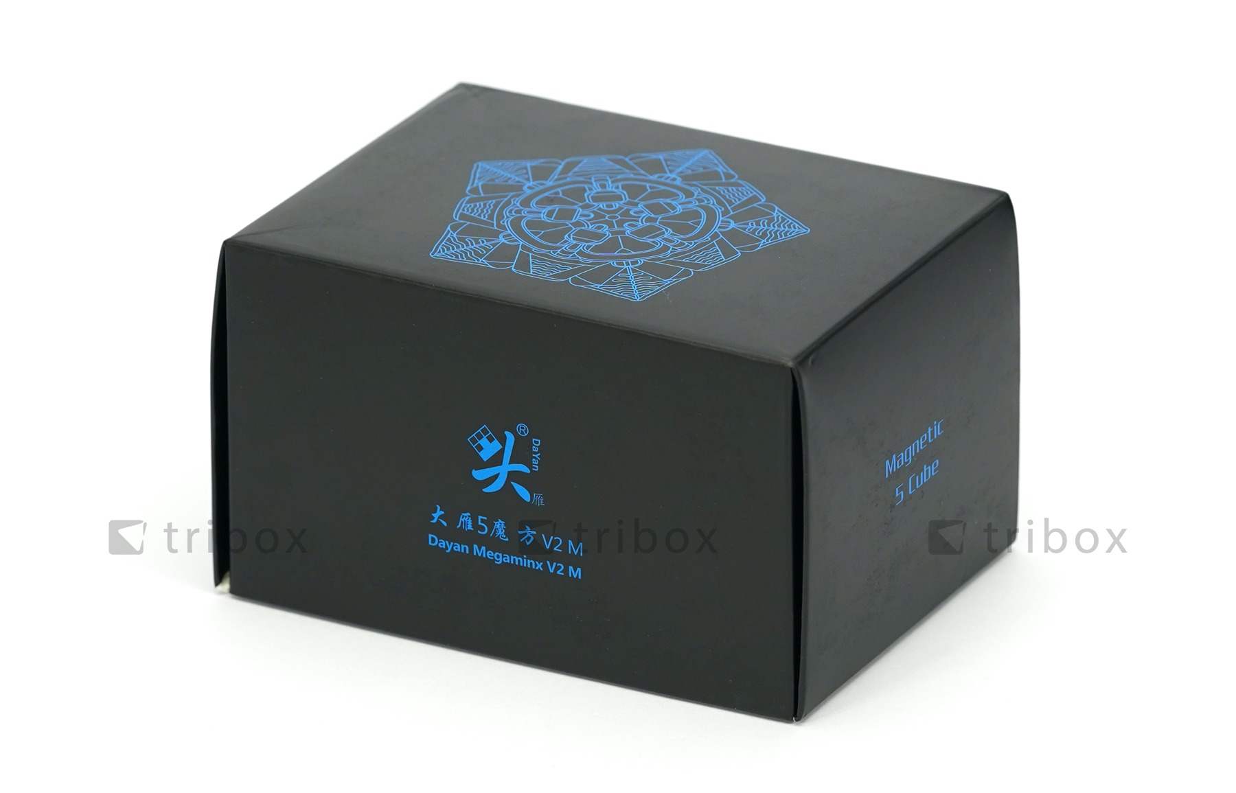 triboxストア / DaYan Megaminx V2 M Stickerless